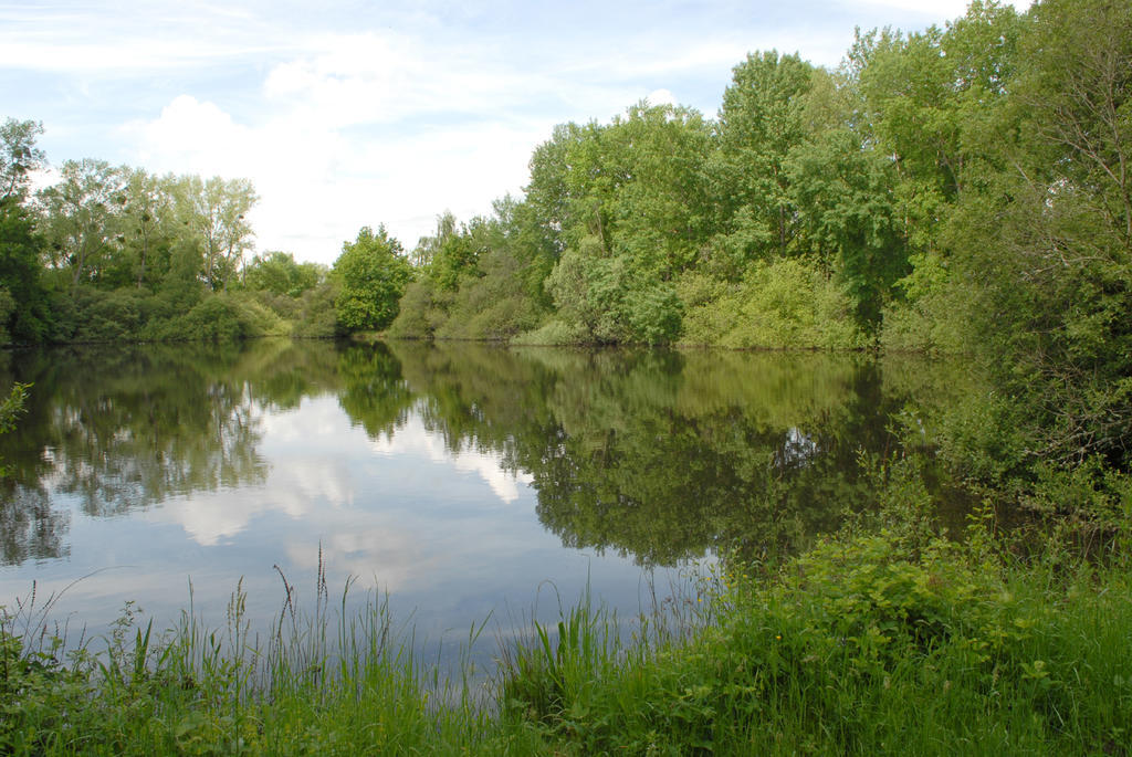 Bed & Breakfast Domaine De La Gaucherie 3*